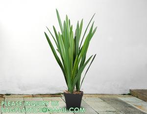 Buy cheap Artificial Plants 6 Pack Onion Tall Grass Greenery, Faux Fake Grass Shrubs Plant Flowers Wheat Grass for House Home product