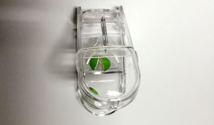 open and closed plastic pill holder,spices, easy open one case pill holder, Novel style professional pocket plastic pill