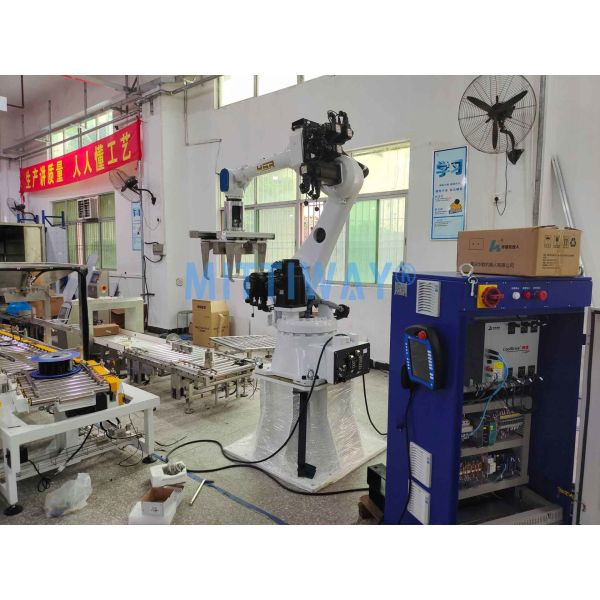 PLC Control Robotic Box Palletizer Machine With Multi Joint Robot Arm Number