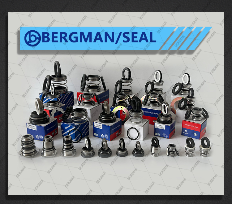 BERGMAN 560D Mechanical Seal 17mm 18mm 20mm for Rotary Pumps