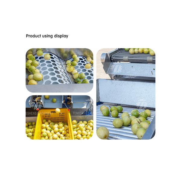 Automatic Cherry Tomato Fruit Sorter Machine Potato Sorting Grading Machine