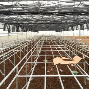 Buy cheap Easy Maintenance Customizable Deep Water Cycle Hydroponics With Water Chiller product