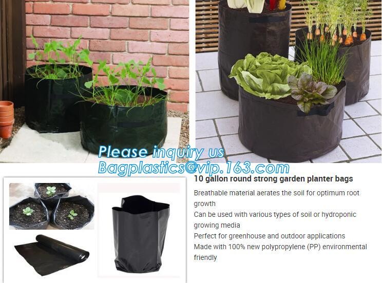 customized waterproof green pe car protector,environmental firendly, car boot liner, reusable, durable,economical,sample