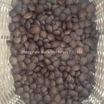 Sacha Inchi Nuts Processing Machine Melon Seeds Seed Peeling Machine