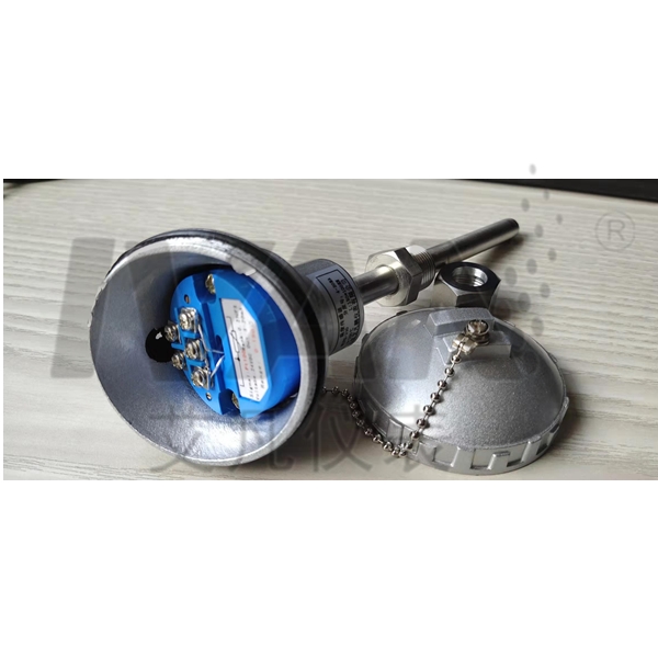 Customized Support OEM High Temperature Armored WZP Thermocouple with Single Thread