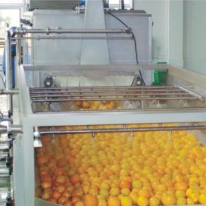 Industrial fruit washing machine high efficiency fruit and vegetable clapboard
