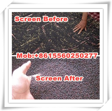 Mini multi-purpose egusi selecting machine seed removing machine