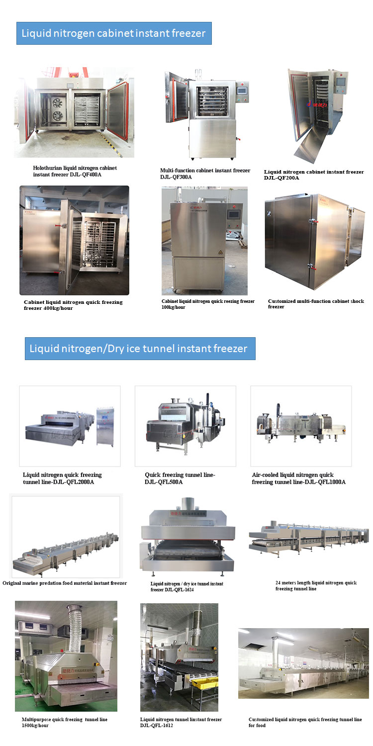 30 Kw Fast Freeze Chest Mesh Belt Tunnel Freezer 1500KG/H 2500KG/H