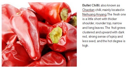 Zero Additive Red Bullet Chilli Sterilized 4CM Dehydrating Chillies