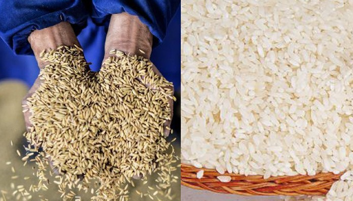 Mini Mist Polisher/The Good Price Of Rice Polishing Machine