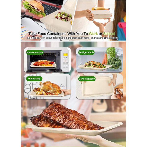 3 Compartment Recyclable Eco-friendly Sugarcane Food Container 9 Inch Clamshell Packaging