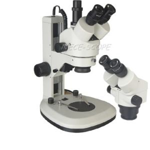 High Magnification Trinocular Stereo Zoom Microscope With Digital Camera WF10× /