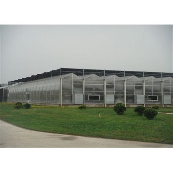 Anti Condensation Plastic Panels Greenhouse , Ecological Greenhouse 2100mm Max Width