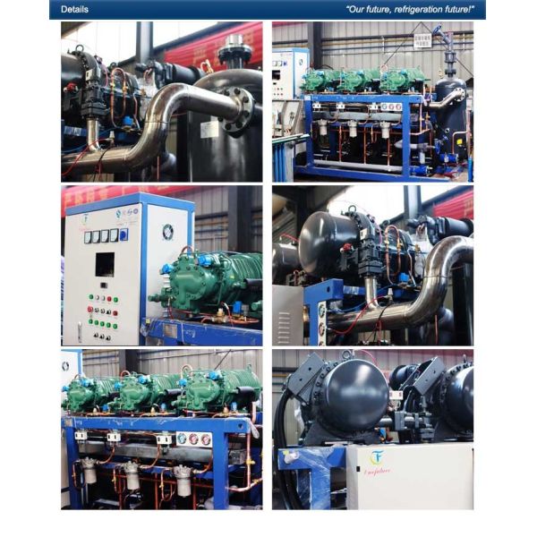 Cool Room Refrigeration Unit Anbell Carrot Precooling Cold Storage 400hp