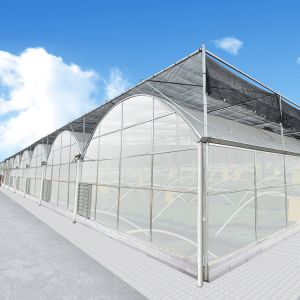 Agricultural Farm Multispan Polycarbonate Panels Greenhouse with Shading System