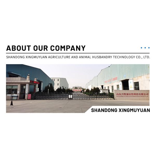 Poultry Farm Wall Fan Louvered Box Ventilation Fan Hammer Exhaust Fan for Greenhouse/Chicken House/Workshop Fan for Sale