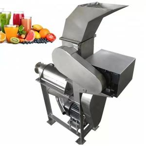 China Fruit Apple Watermelon Mango Pineapple Juicer Extractor Machine Stainless Steel on sale