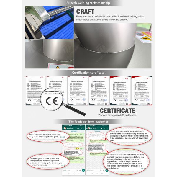 Passion Fruit Juice tangerine Lemon Juice Machine juicer fruit juice orange juice Celery kale Kale ginger juice lemon juice Strawberry Juice Mango
