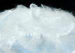 CDP Cationic Polyester Fiber Low Melt Bi Component Virgin Grade