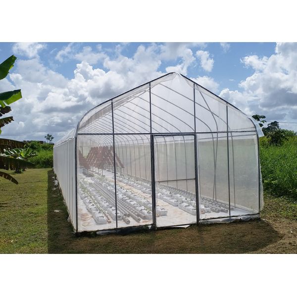 UV Protection Small Polycarbonate Greenhouse Mini Tunnel Greenhouse With Rust Proof Frame