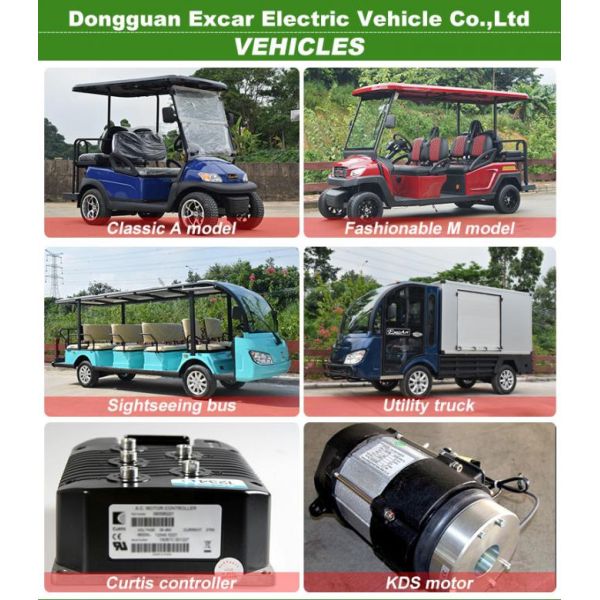 11 Passenger Fully Enclosed Electric Sightseeing Shuttle Bus