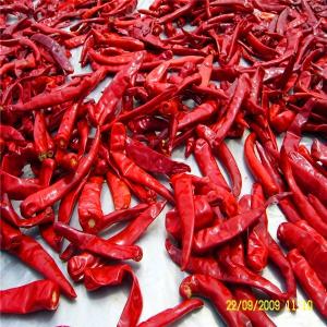 China AB Spicy Chilli Pepper Fine Powder COA Halal Certification 100g on sale