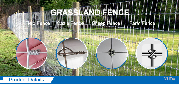 High Tensile Galvanized Field Fence for Cattle and Sheep