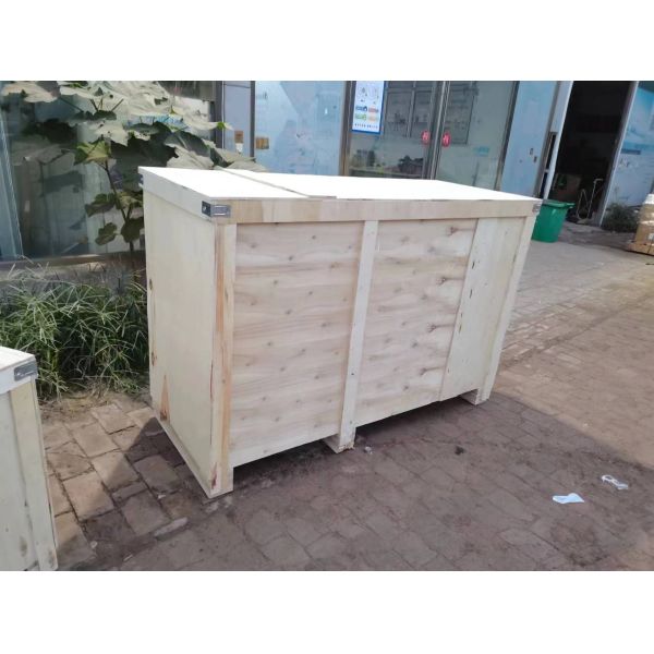 OEM Vertical Vegetable Processing Machinery Garlic Lahsun Grading