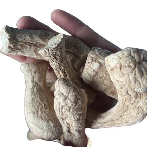 Buy cheap Mushrooms Bulk Champignon Shiitake Stem for Dried Shiitake Mushroom product