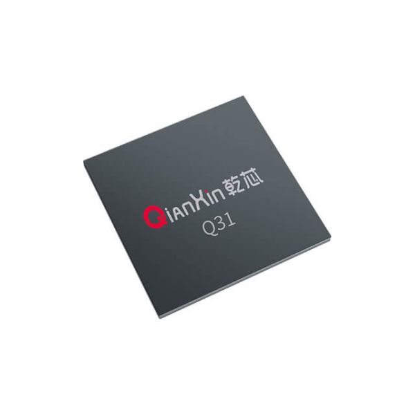 Q31 Iris Chip FPGA Core – Cost-Optimized Single-Chip Solution for Iris Recognition and Matching