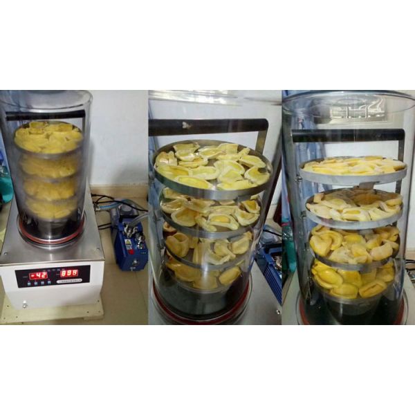 Laboratory Antibiotics Cucumber Vaccines Blood Enzyme Hormones Fruits Food Vacuum Vegetables Lyophilizer Freeze Dryer