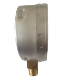 4" 250mbar Capsule Low Pressure Gauge