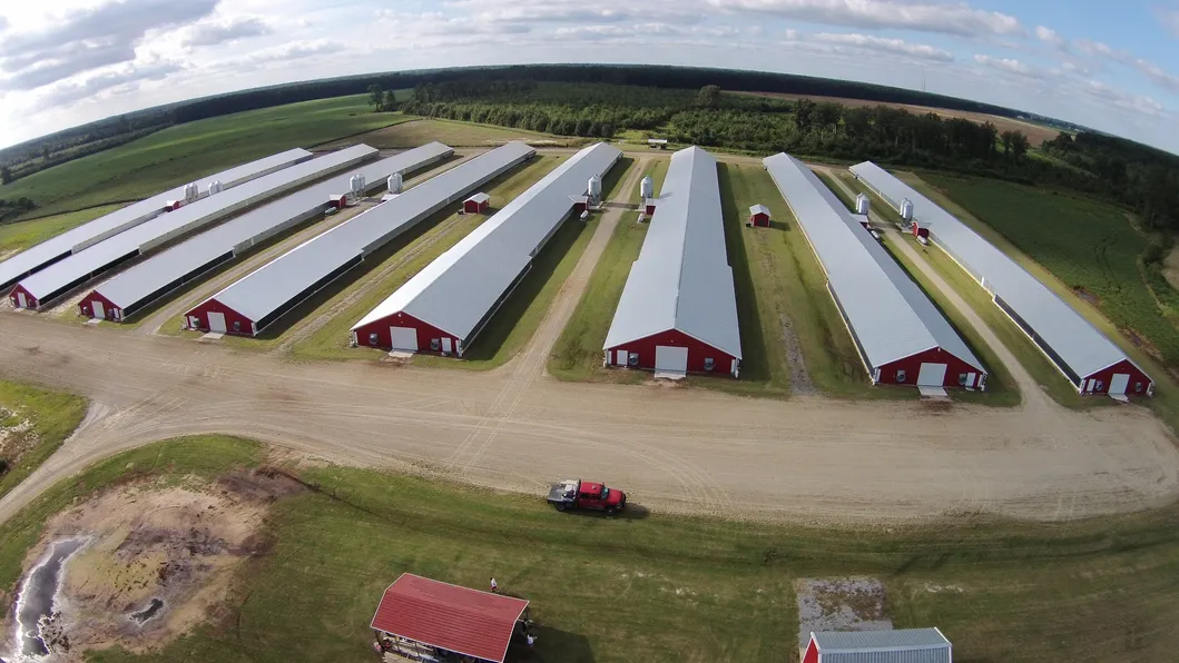 Insulation Panel Prefab Steel Structure Metal Breeding Poultry Chicken House