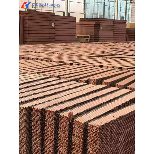 Easy Install Piggery Shed Onsite Installation Steel Structure Piggery House