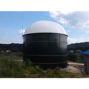 Buy cheap Biogas and Wastewater Storage Gas Holder Anaerobic Reaction Install product