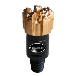 API 5 Blades Polycrystalline Diamond Drill Bits PDC
