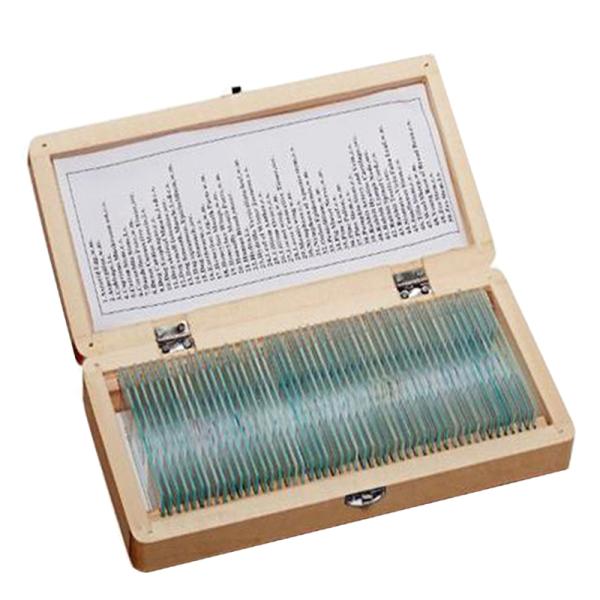 Mixed Plant Animal ODM Microscope Biology Prepared Slides 50pcs SET