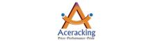 China Ace Storage Equipment Manufacturer Ltd. logo