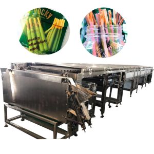 China Automatic Pocky Biscuit Machine Finger Biscuit Chocolate Coating Machine on sale