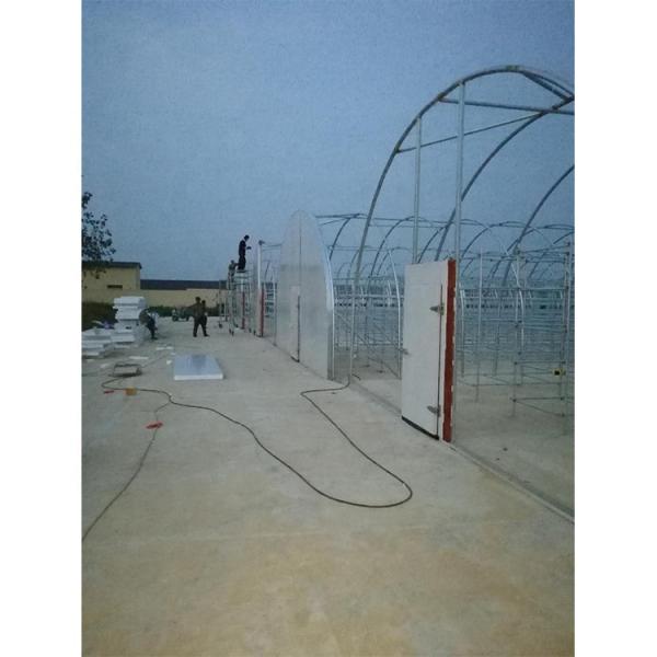 Customized Agricultural Equipment Plastic Film Cover Mushroom Green House