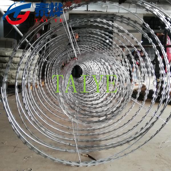 Coiled Double Concertina Razor Wire Barbed Tape With Beautiful Appearance