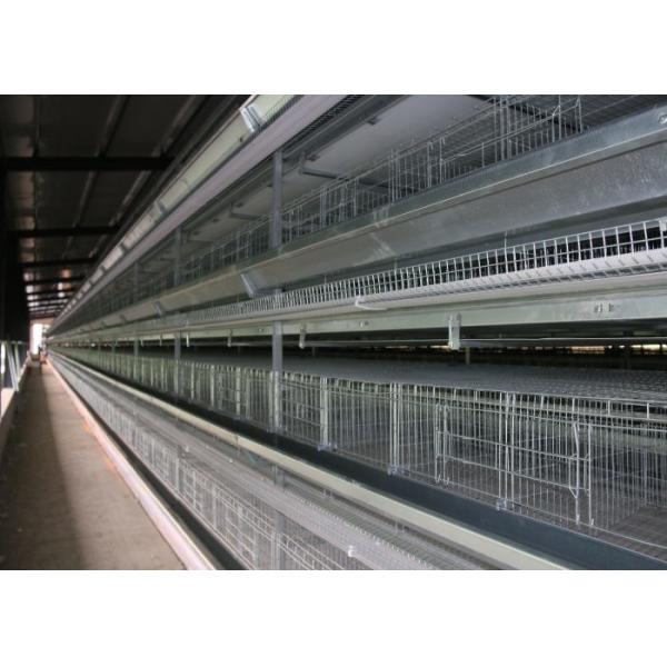 Anti - Corrosion Automatic Manure Removal System For Closed Chicken House