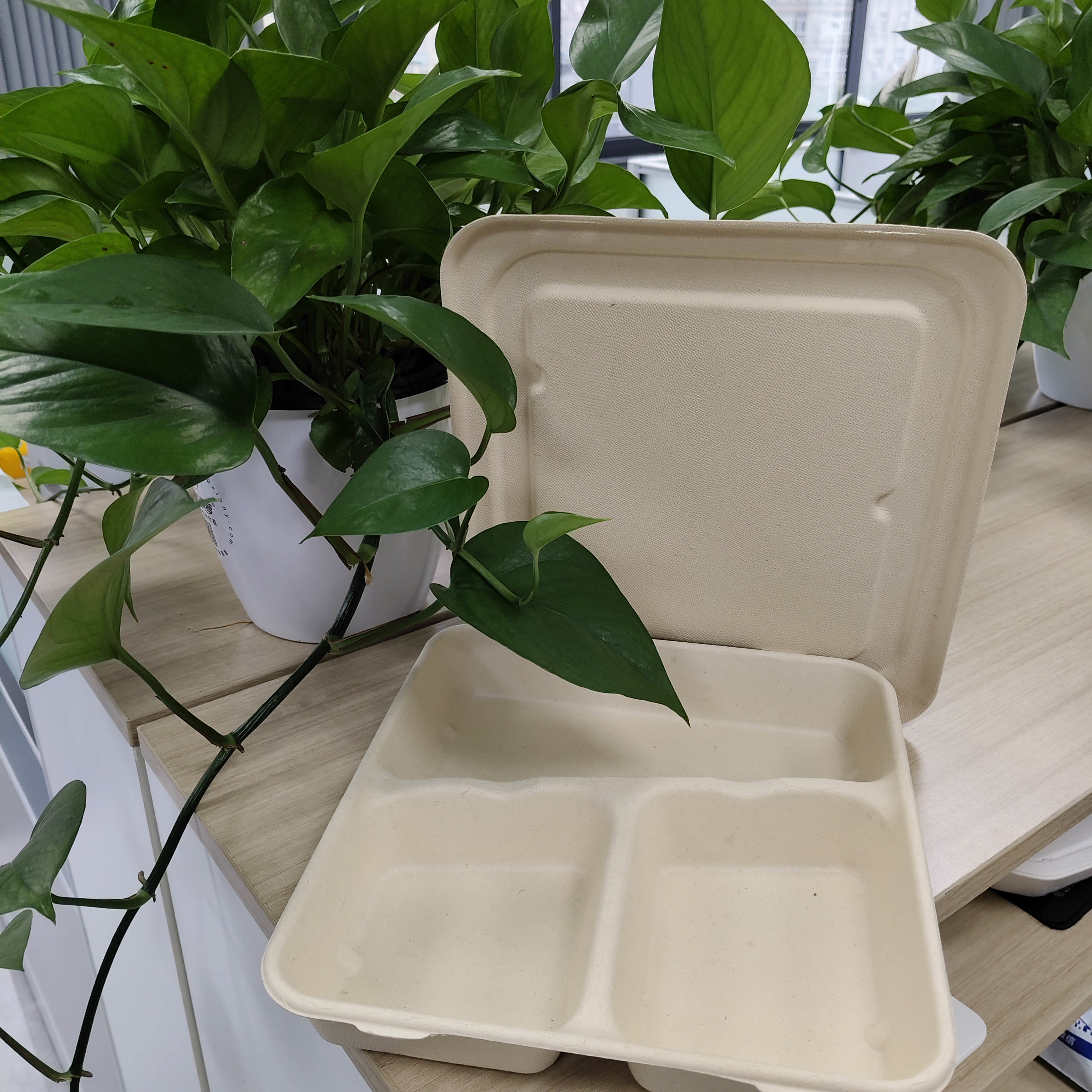 Buy cheap Directly supplied by Chinese manufacturers. Disposable environmentally friendly pulp-molded lunch boxes are made of sterile food-grade plant fibers product