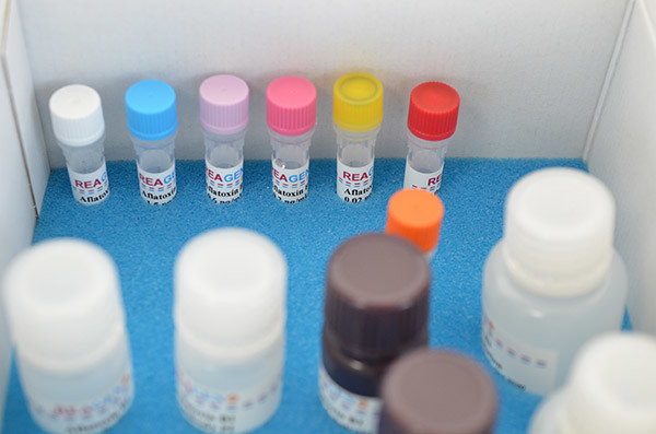 High Sensitivity Furazolidone ELISA Testing Kit , AOZ Elisa Kit Free Samples