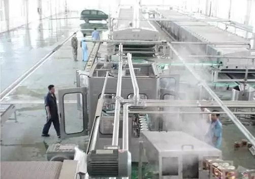 Complete Carrot Processing Line Customized Carrot/Ginger/Beet Production Plant For Vegetable Industry SUS304/316