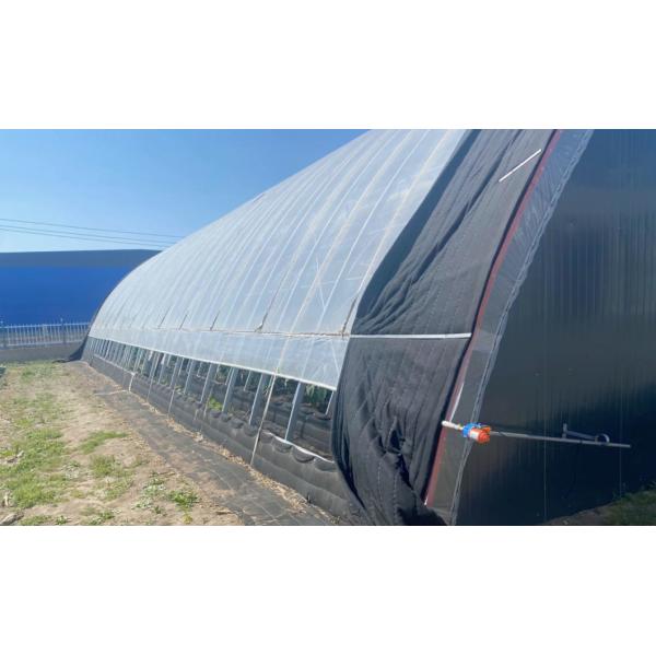 Flower Planting Sparay Irrigation Sunlight Greenhouse