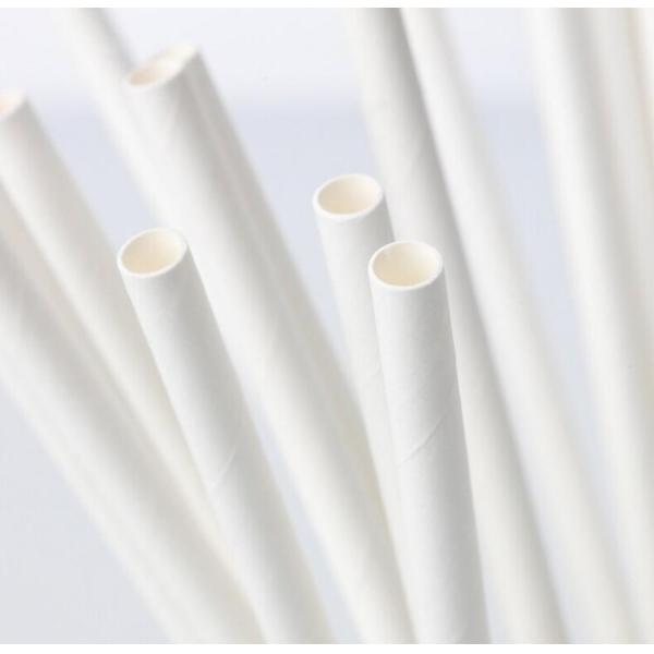Eco Friendly Biodegradable Disposable Drinking Paper Straws with Plain White Color