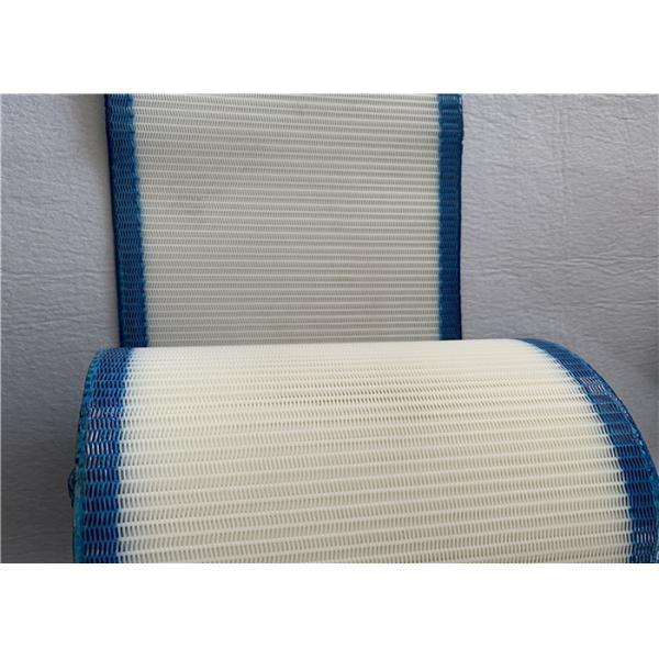 White And Blue Monofilament Polyester Mesh Belt For Drying Packing Paper