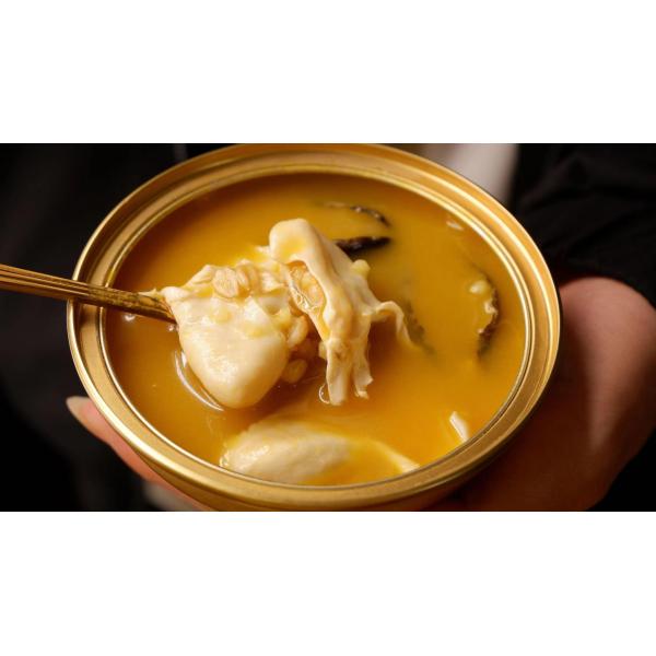 Abalone Fish Maw Golden Soup