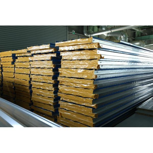 EPS 100 Color Steel Sandwich Panel Lightweight For Roof / Wall / Door Panels